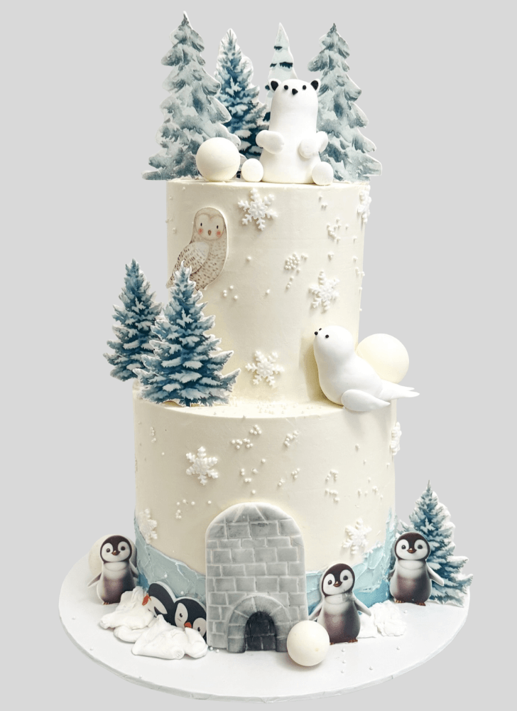 Magnificent Winter Cake