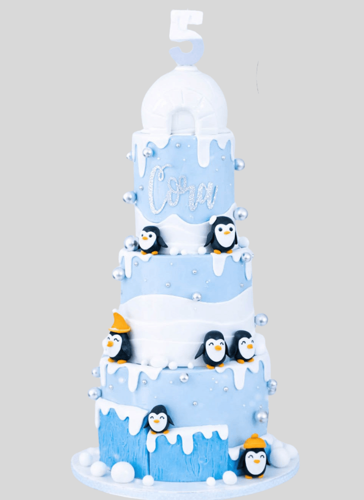 Pretty Winter Cake
