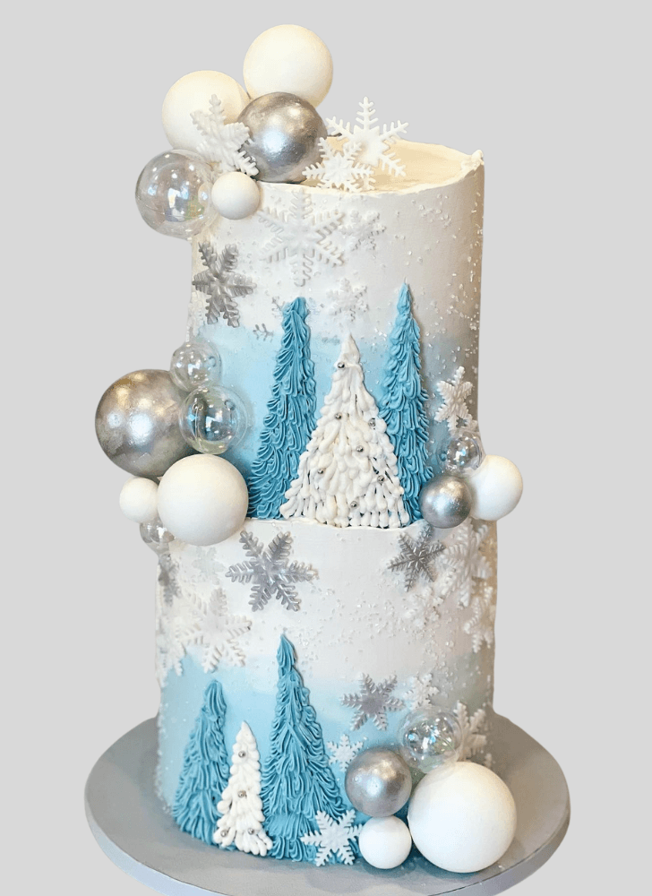 Shapely Winter Cake