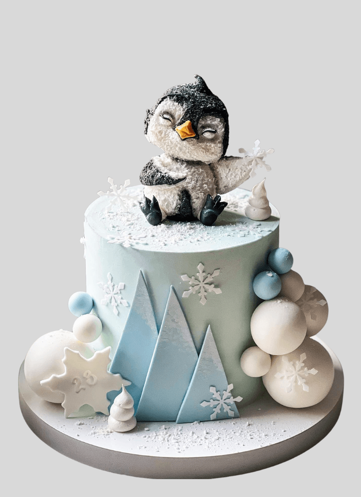 Splendid Winter Cake