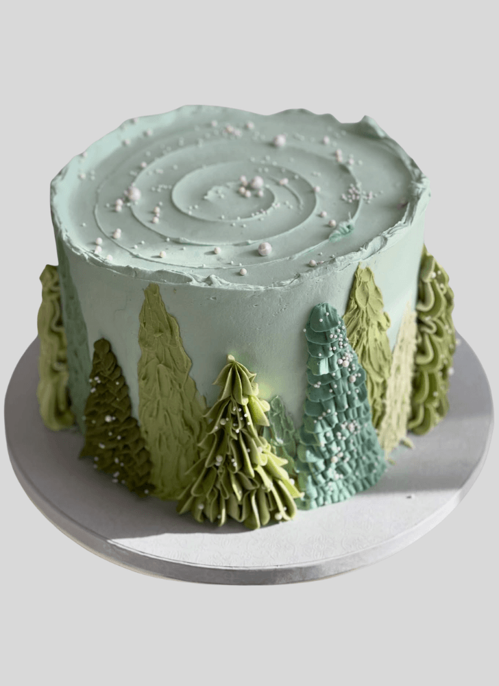 Stunning Winter Cake