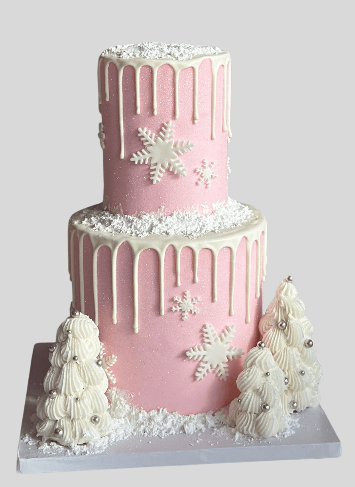Superb Winter Cake