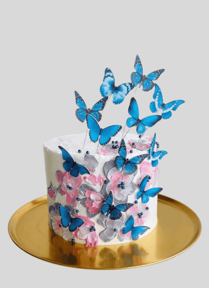Cute Butterfly Cake