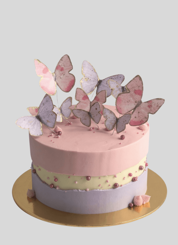 Dazzling Butterfly Cake