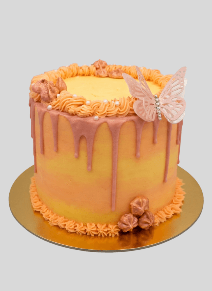 Wonderful Butterfly Cake Design