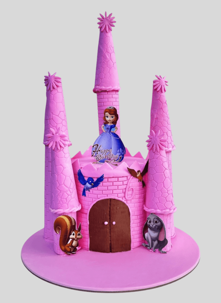 Fascinating Castle Cake