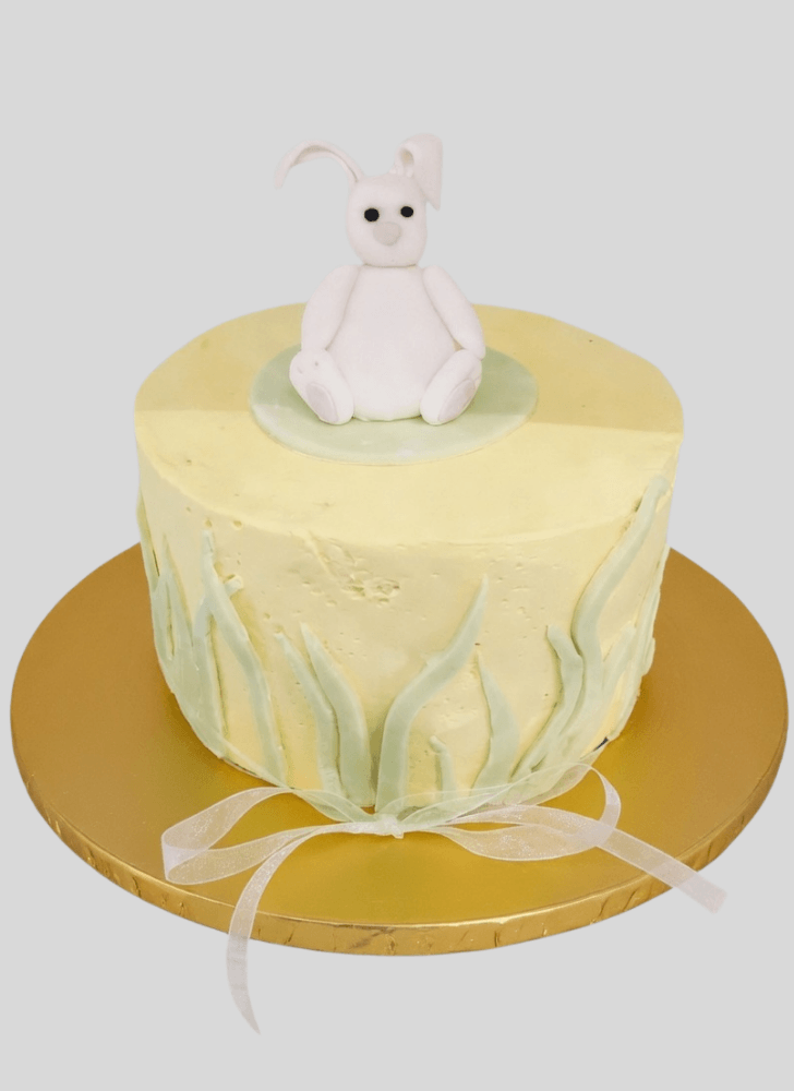 Good Looking Easter Bunny Cake