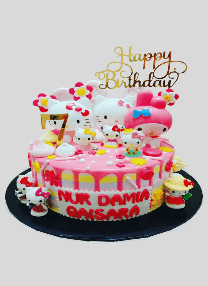 Magnetic Hello Kitty Cake