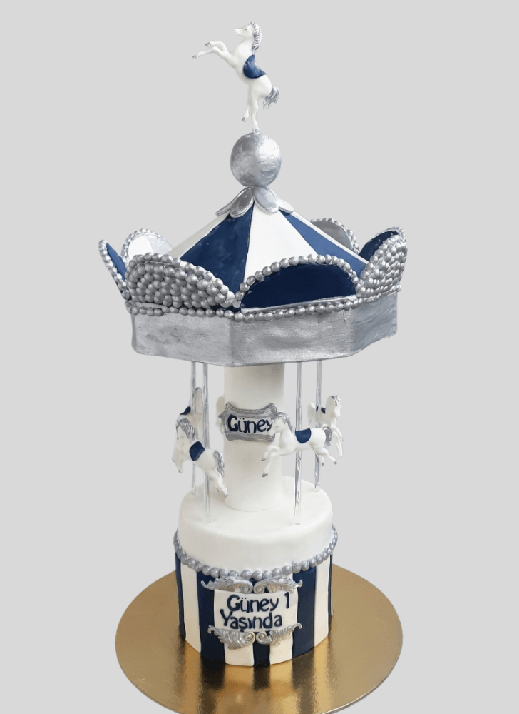 Magnetic Carousel Cake