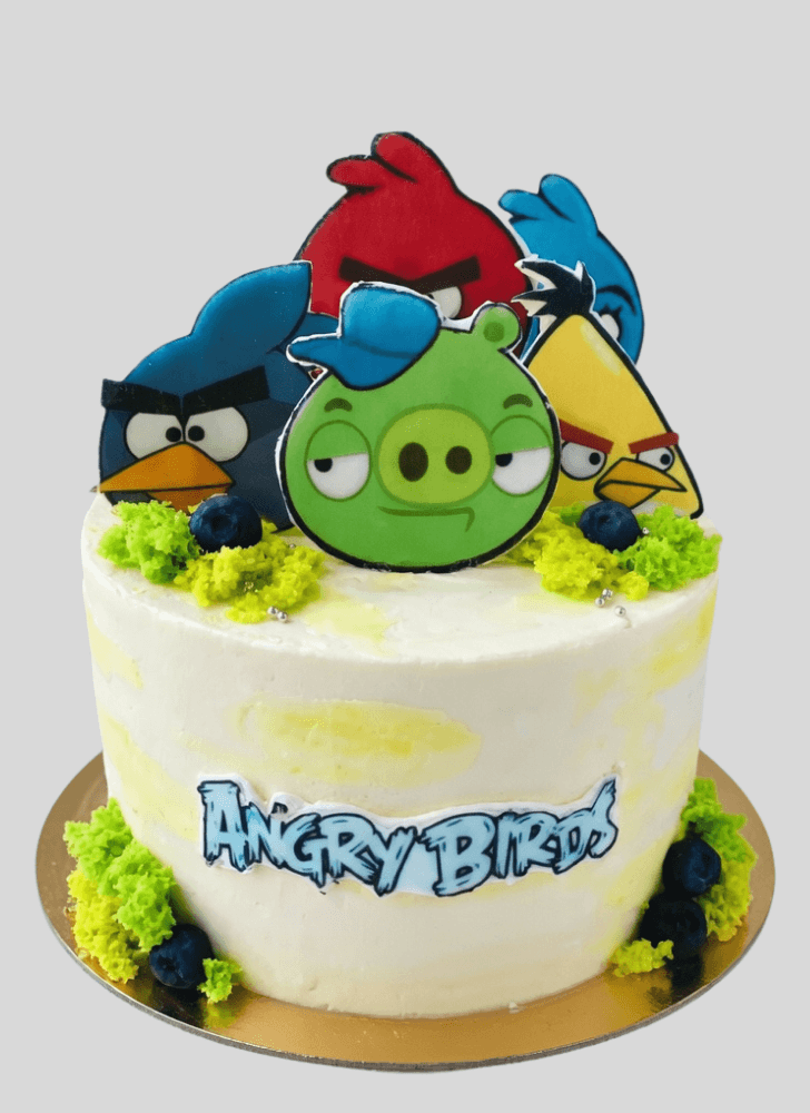 Handsome Angry Birds Cake