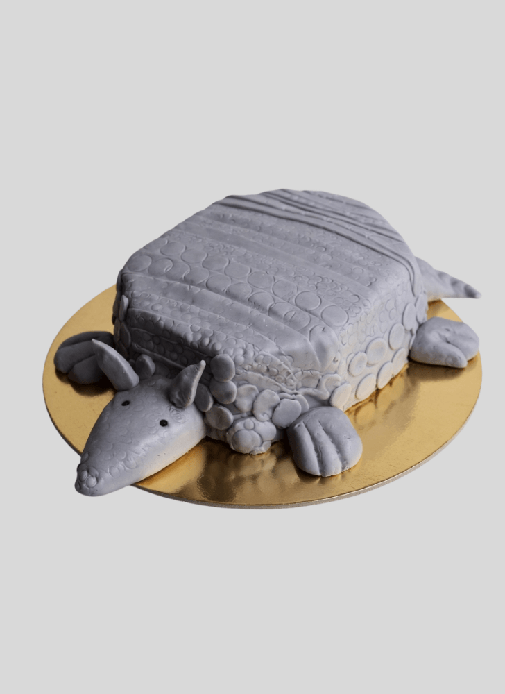 Admirable Armadillo Cake Design