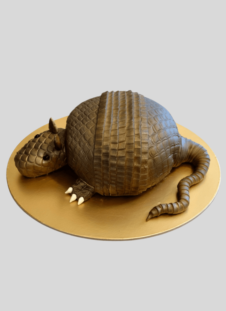 Adorable Armadillo Cake