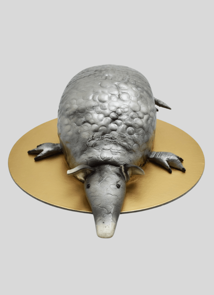 Alluring Armadillo Cake