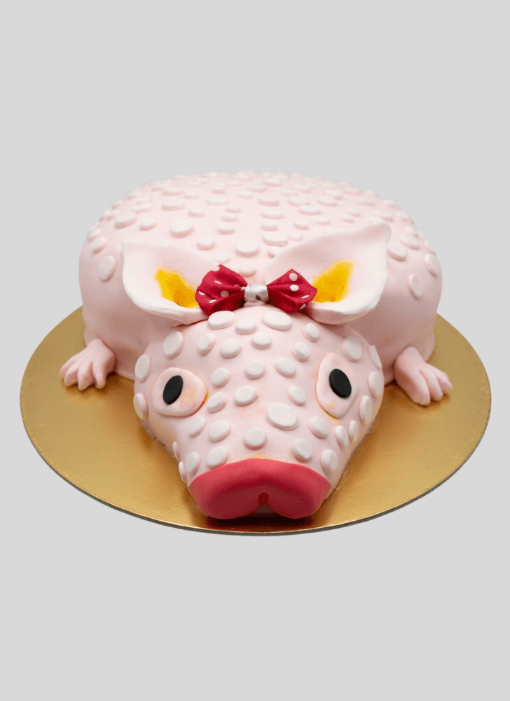 Angelic Armadillo Cake