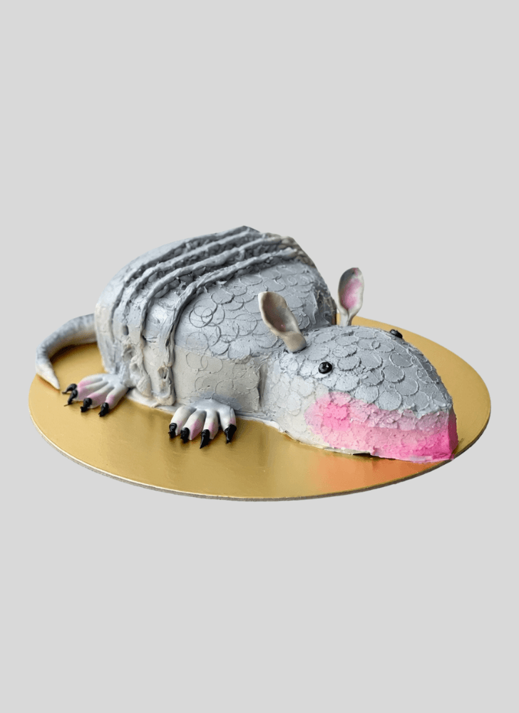 Appealing Armadillo Cake
