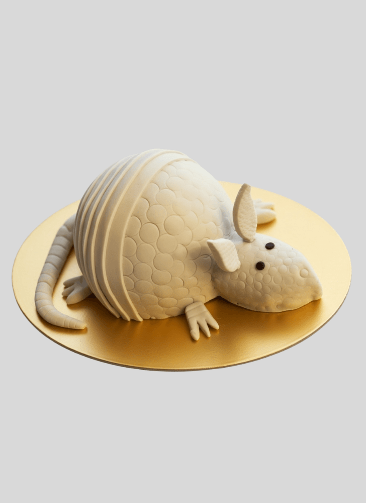 Beauteous Armadillo Cake