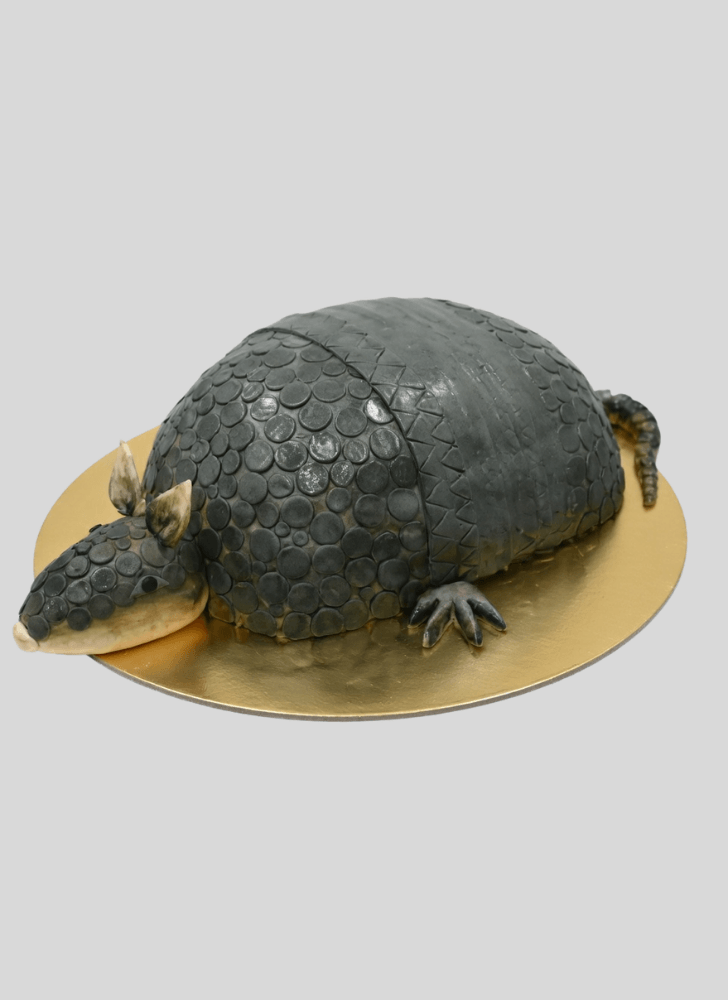 Bewitching Armadillo Cake