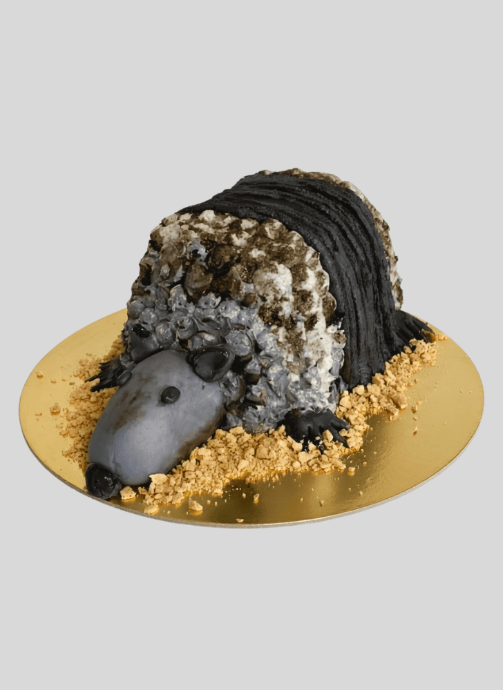 Charming Armadillo Cake