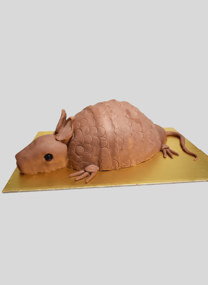 Classy Armadillo Cake