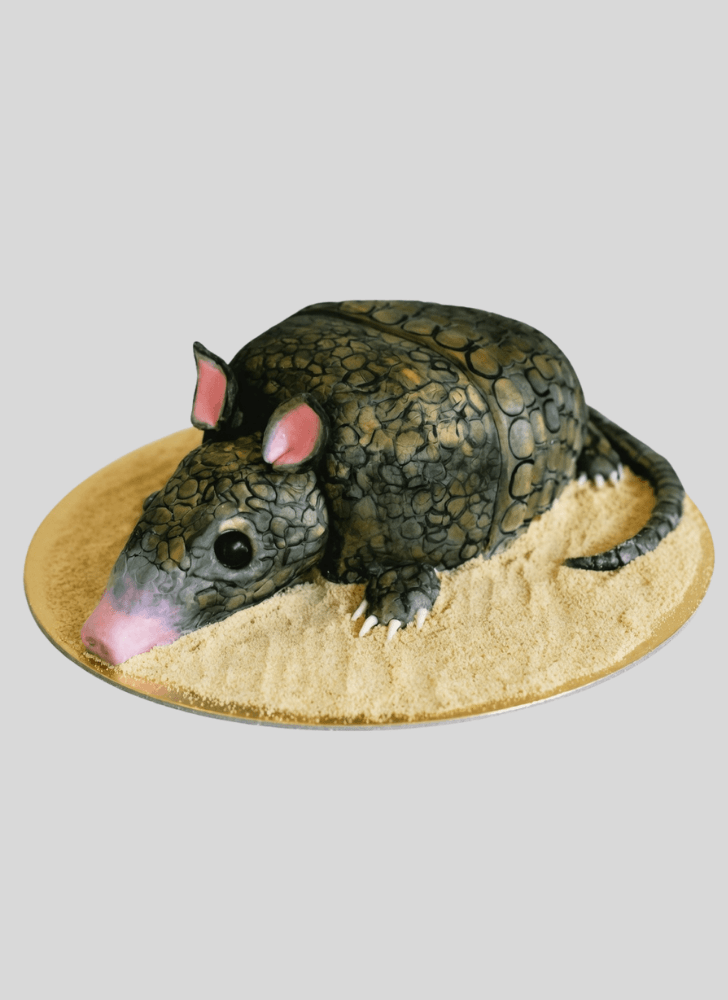 Comely Armadillo Cake