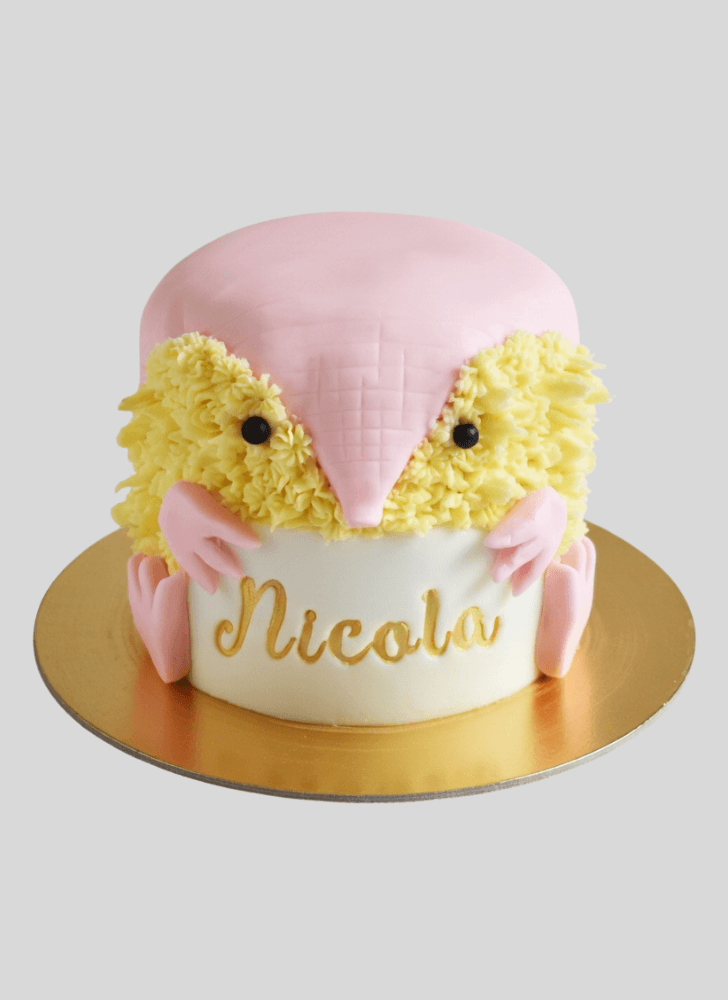 Cute Armadillo Cake