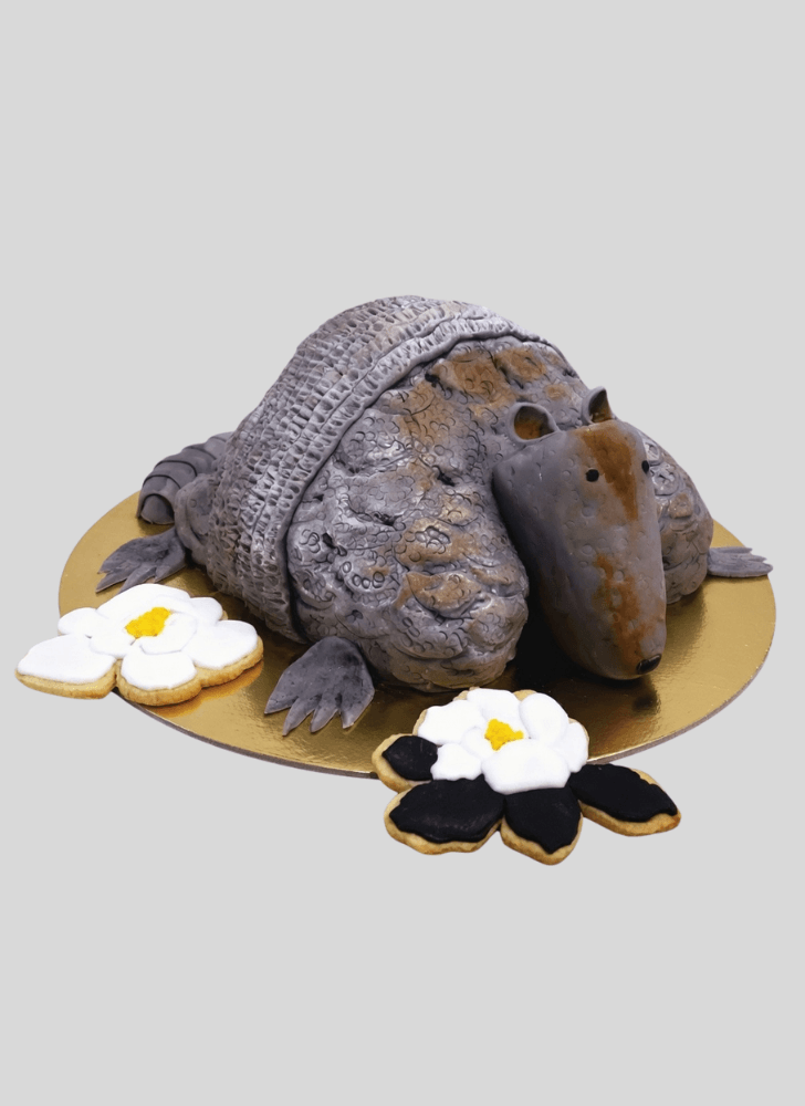 Dazzling Armadillo Cake