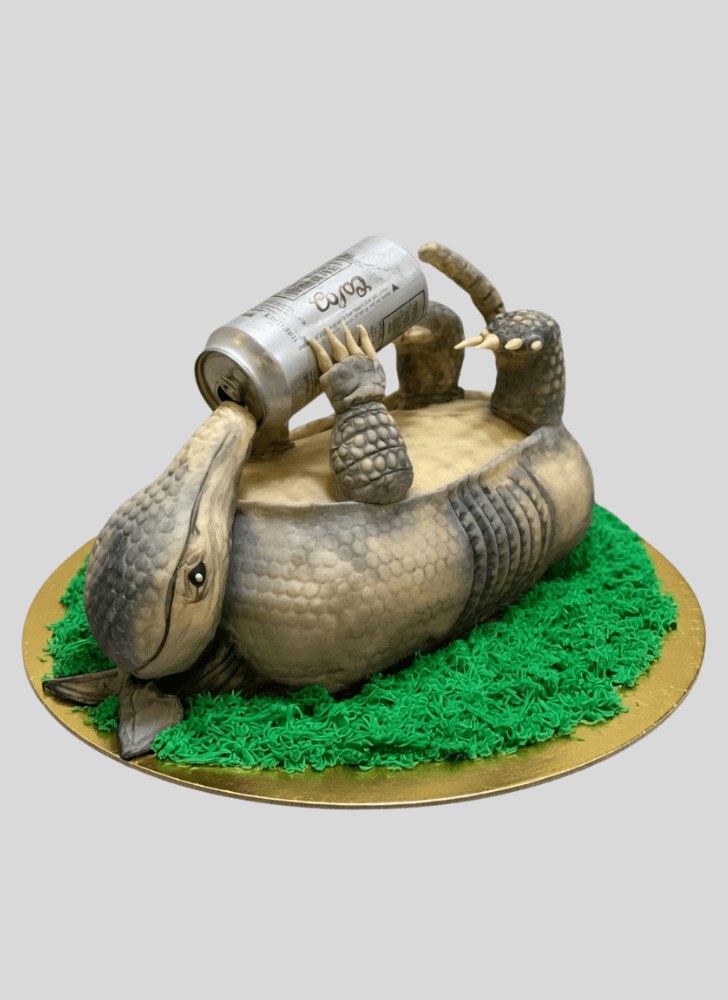 Delicate Armadillo Cake