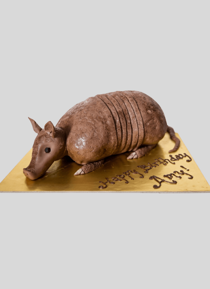 Divine Armadillo Cake
