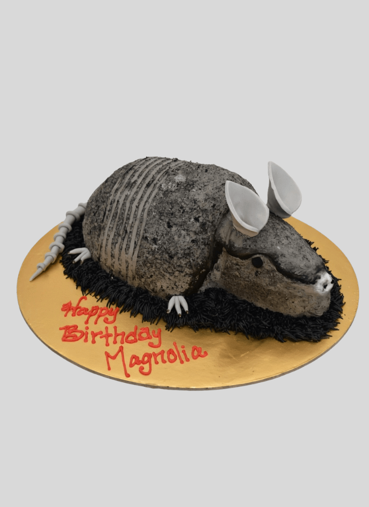 Enthralling Armadillo Cake