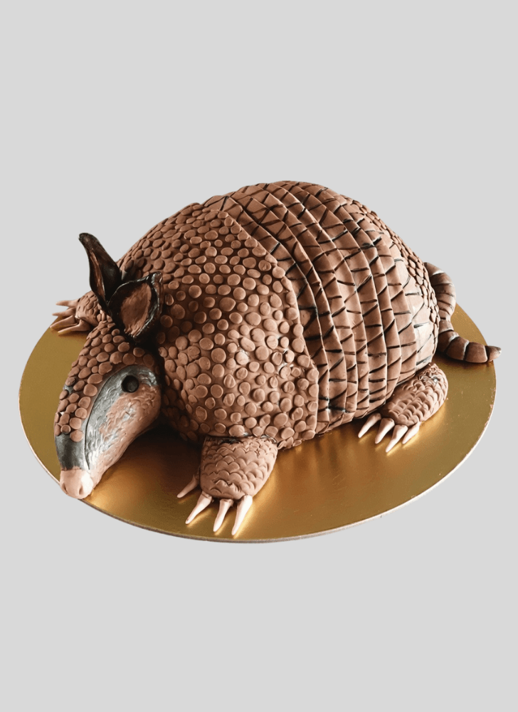 Enticing Armadillo Cake