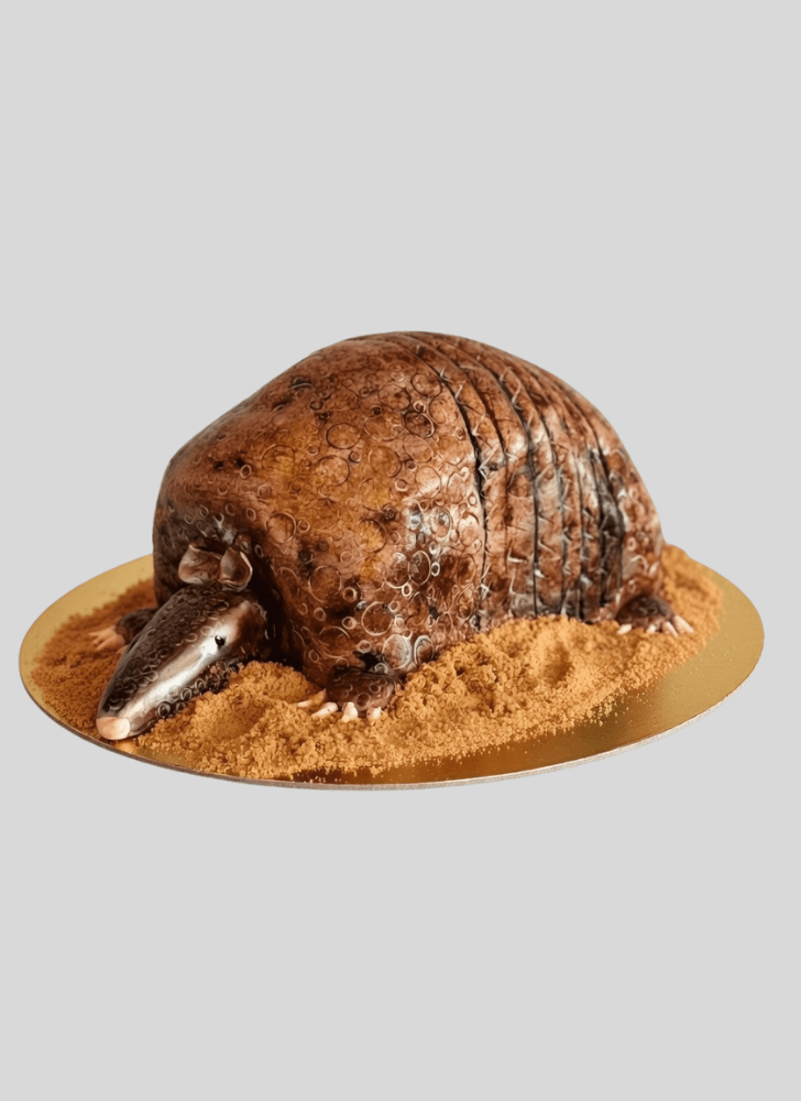 Excellent Armadillo Cake