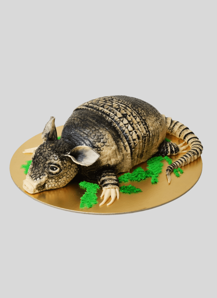 Exquisite Armadillo Cake