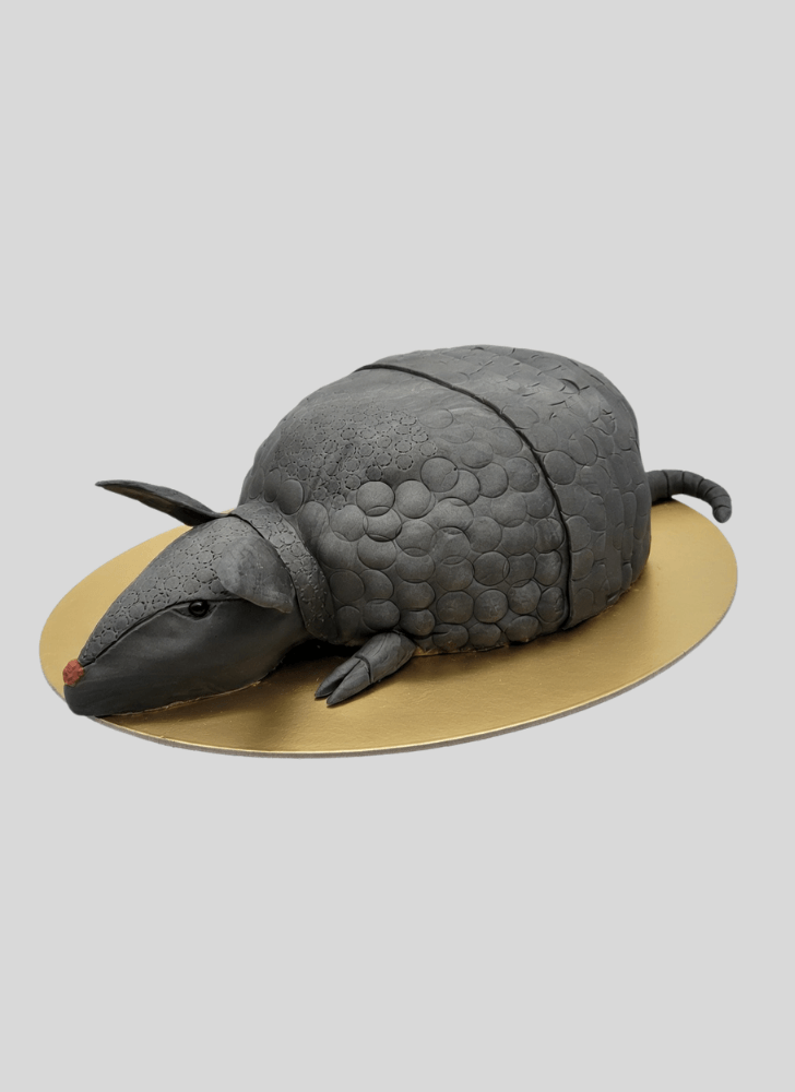 Fair Armadillo Cake