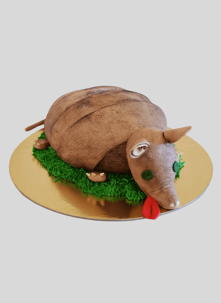 Fascinating Armadillo Cake