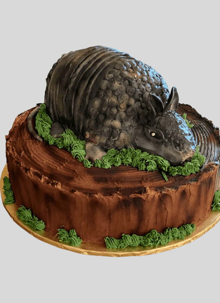 Fetching Armadillo Cake