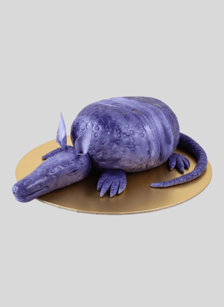 Fine Armadillo Cake