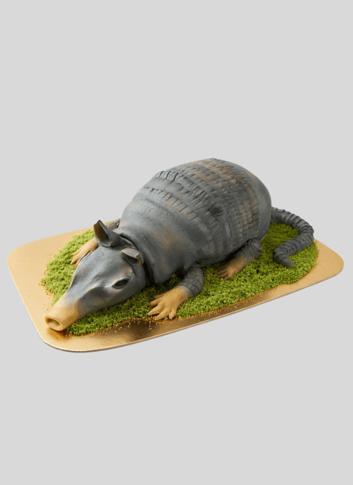 Good Looking Armadillo Cake