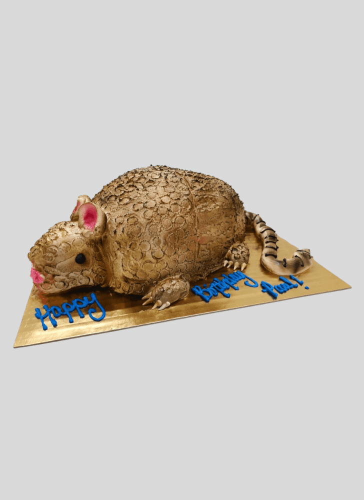 Gorgeous Armadillo Cake