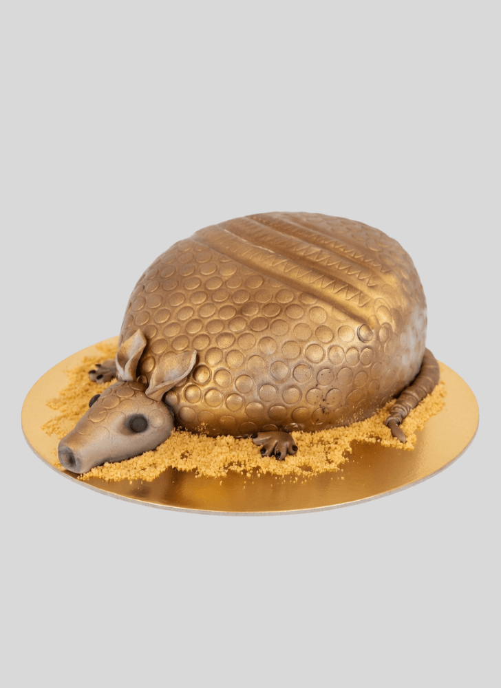 Graceful Armadillo Cake
