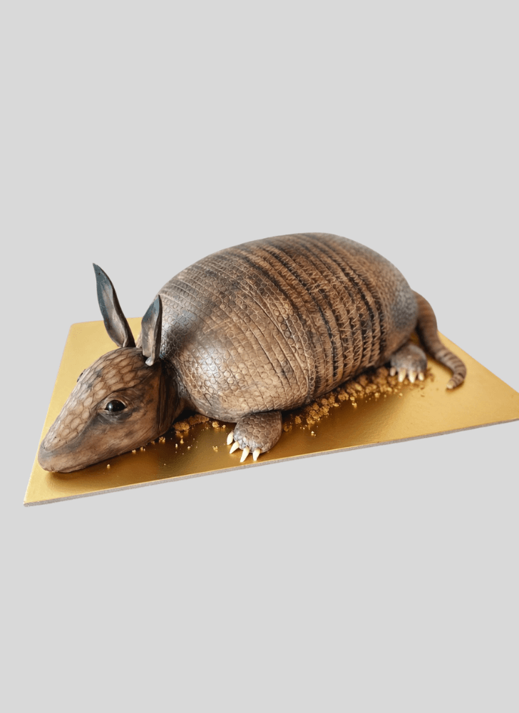 Handsome Armadillo Cake