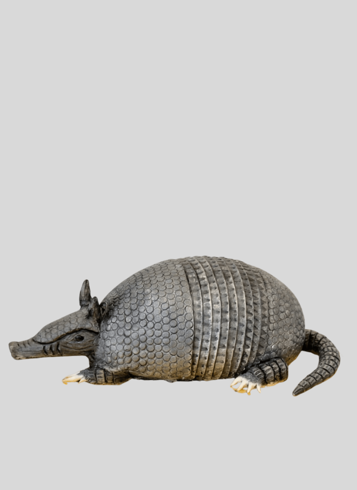 Ideal Armadillo Cake