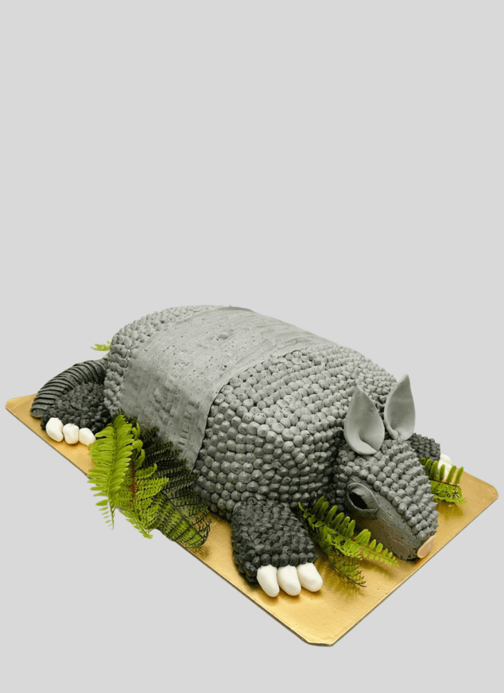Inviting Armadillo Cake