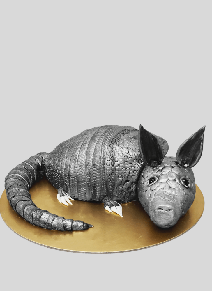 Lovely Armadillo Cake Design