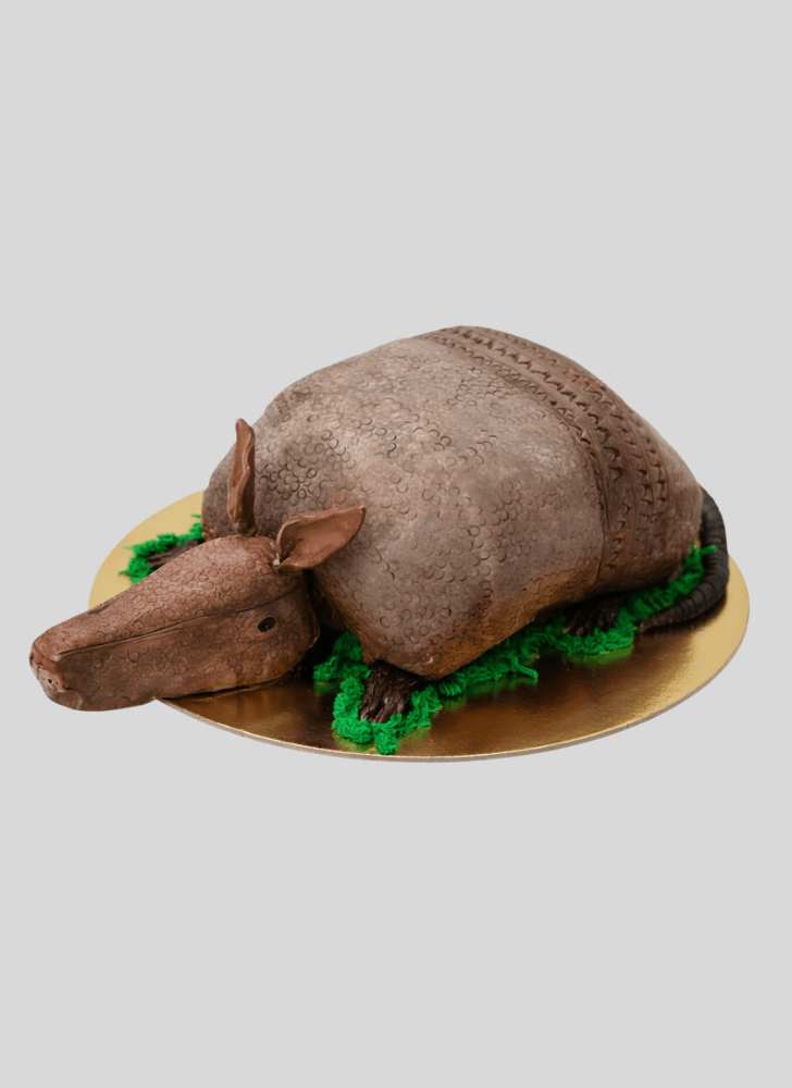 Magnetic Armadillo Cake