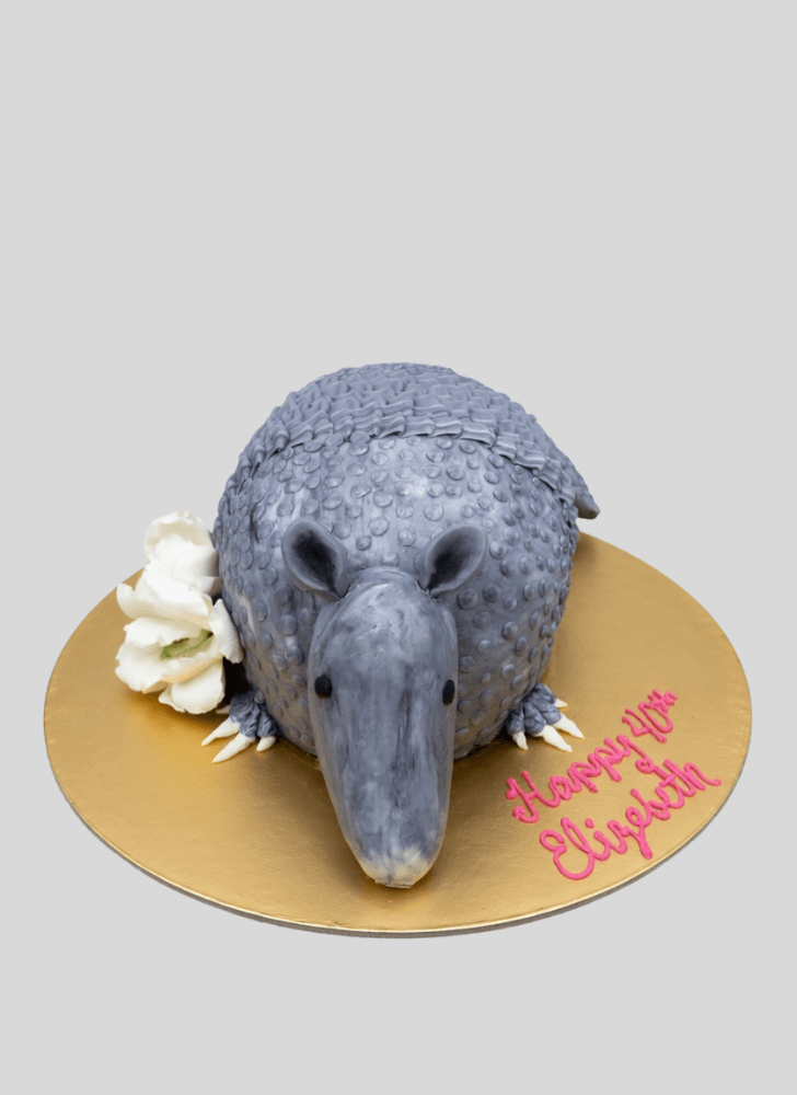 Magnificent Armadillo Cake