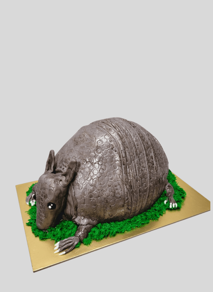 Marvelous Armadillo Cake