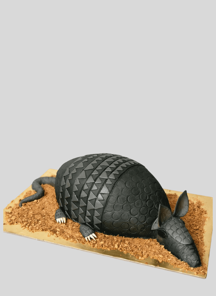 Mesmeric Armadillo Cake