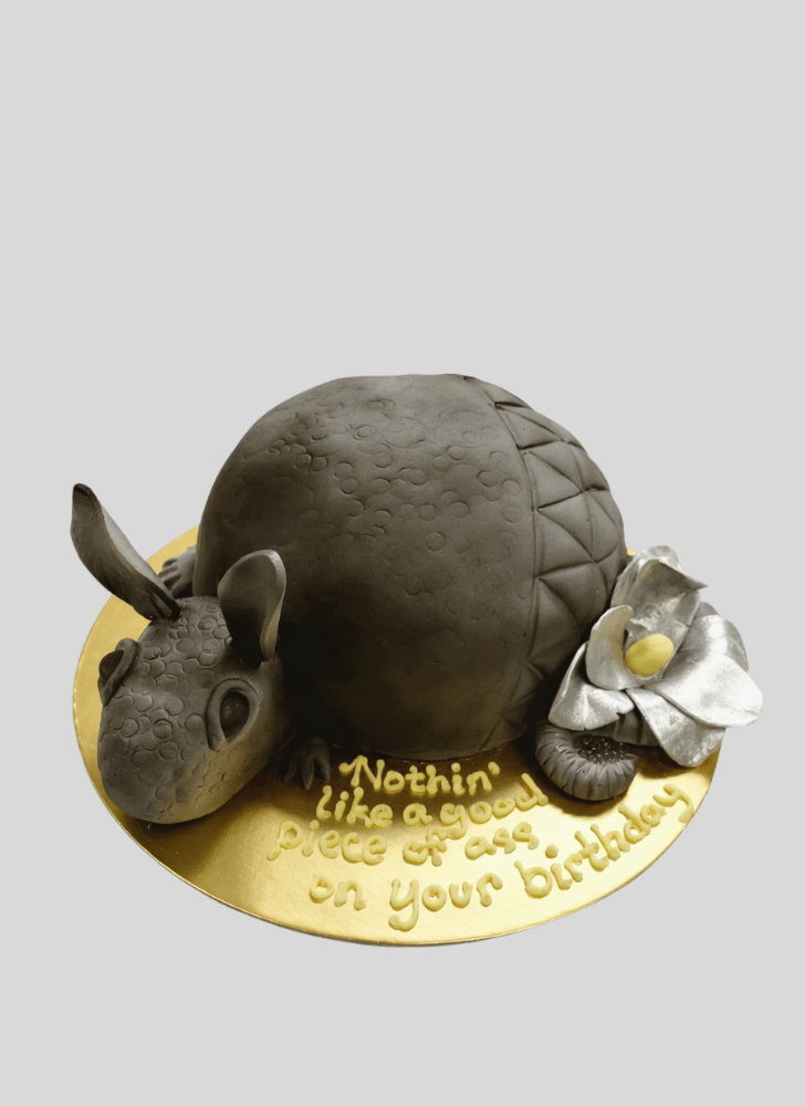 Nice Armadillo Cake
