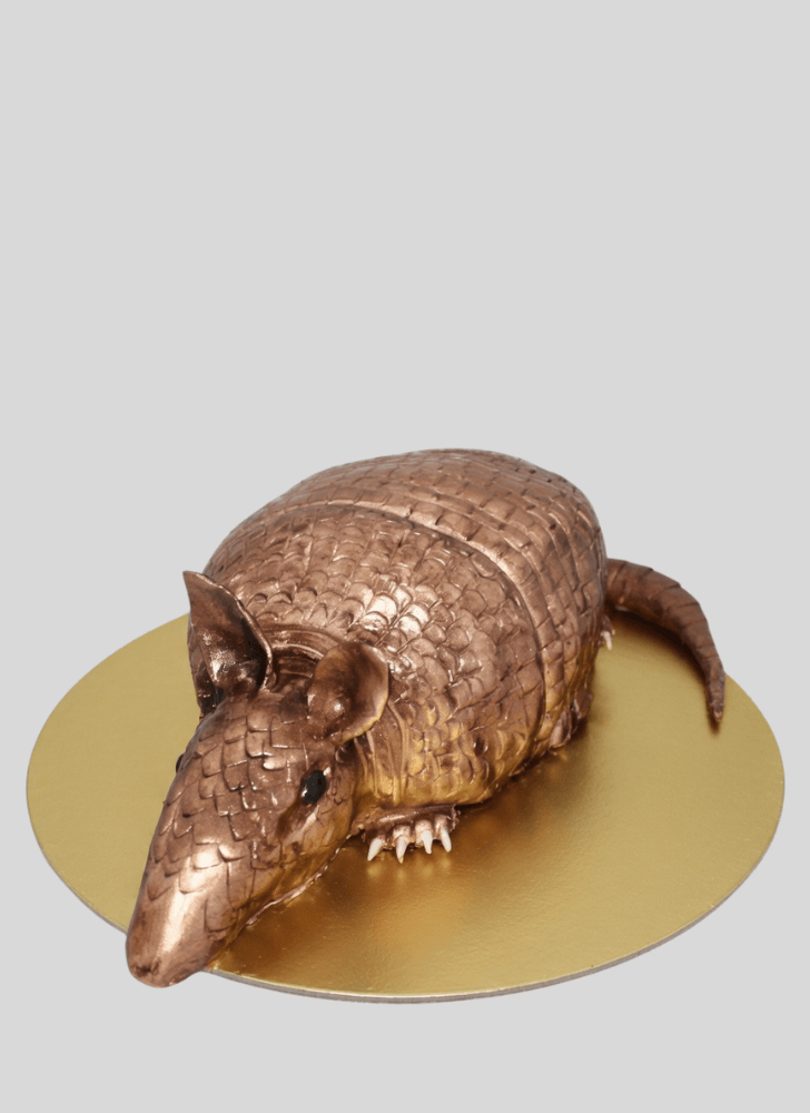 Pretty Armadillo Cake