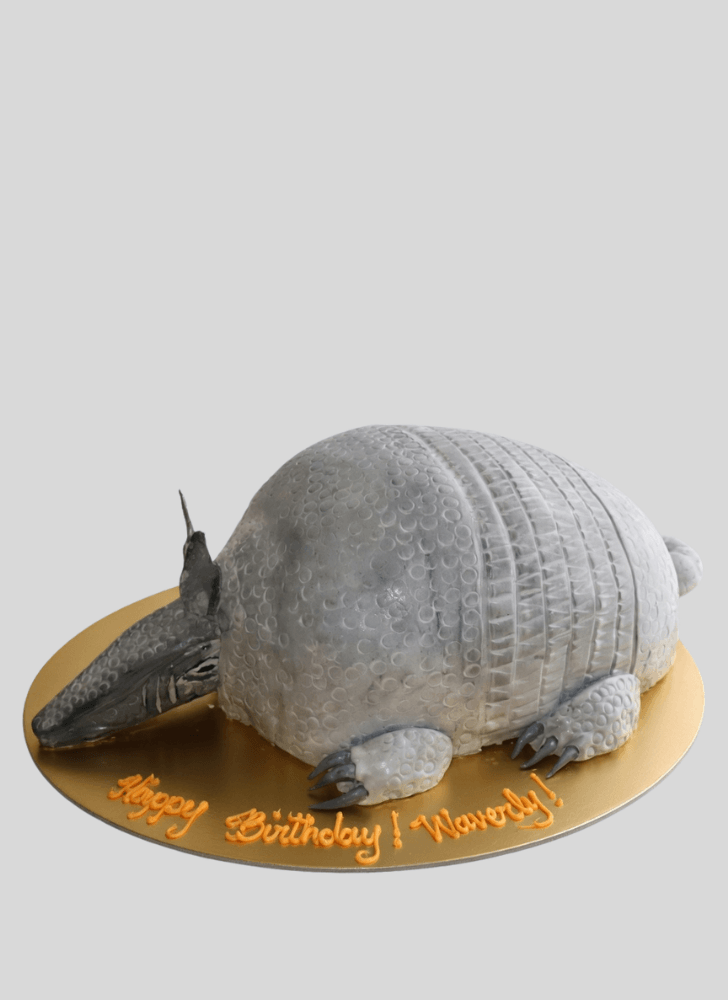 Radiant Armadillo Cake